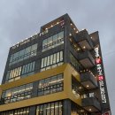 레인보우미트