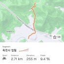 고성공룡나라 그란폰도 후기와 사진령 넘기!