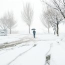 겨울나그네 이미지