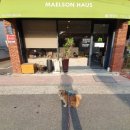 효령로61길 15 | 양재 멜슨하우스 / 멜슨 켄넬 62 vs 72 비교