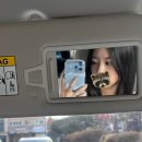 나우목장 | 11월 일상 | 진짜로 끝나버렸어 가을!