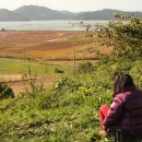 광의농장 이미지