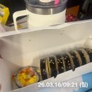 유당한의원 | 로하셀 한의원 뺄타임 미미탕 5주차/내돈내산 리얼후기