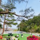 도그도그 이미지