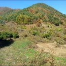 원산농장 이미지