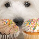 수노을동물병원 이미지