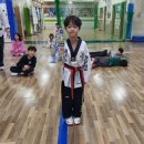 연세파워태권도 이미지