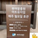 부여(사비)-16 | [국내여행] 국내여행 부여 가볼만한 곳 부여왕릉원 유네스코세계유산 부여관광지