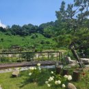 비야대정로 이미지