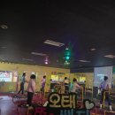 점핑운동