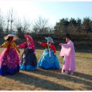 황새울공원 Daum카페