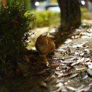 무왕로4길 이미지