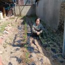 장세영농장 이미지