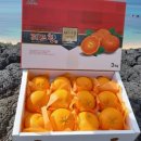 다현농장 이미지