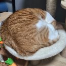 정희농장 | 내 커피마저 커피가 필요해☕