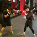 Bee Boxing Gym 이미지