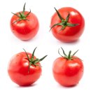 디자인토마토 이미지
