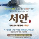 화산여행사