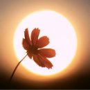 구월우체국 이미지