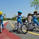 꿈나무교통나라 이미지