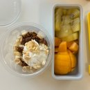 그릭요거트팩토리 | 시청역 그릭요거트 맛집 그릭팩토리 내돈내산 후기(토핑 추천)