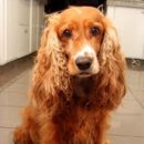 우람동물병원 이미지