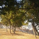 세구지공원 이미지