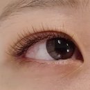 뉴룩메이크업 | 상봉속눈썹:: 뉴룩메이크업 초코브라운 연장 후기