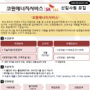 코원에너지서비스(주) Daum카페