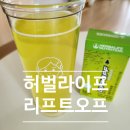 허벌라이프 발포비타민 [리프트오프] 효능: 수험생 영양제, 간기능 개선, 탈모 예방, 빠른 다이어트