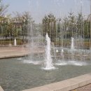 마장천 | 신도림에서 여의도까지 벚꽃따라 도보여행