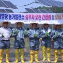 가평 태양광발전소 이미지