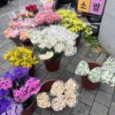 트리밍101 | 한복 브라이덜샤워에 초대받음 (와비사비베이크, 별궁터한복, 유일한옥, 세이드 잠옷)