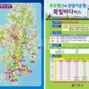 쪽빛언덕 네이버블로그