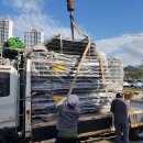 일광제일프라자 이미지