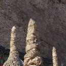 홍삼의신비