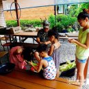 달빛이머무는둥지 이미지