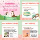 구석기시대 패션왕 | 연천구석기축제 주차장 • 입장료 • 체험존까지 알짜 정보 모음