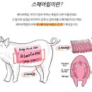 백안산장 | 집에서 간편하게 텍사스 바베큐 스모터리 스페어립 후기