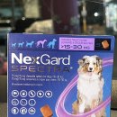 보룡온누리약국 이미지