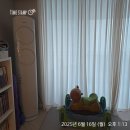 채리피아노학원 | 콘서트 준비주간에는 맘을 정갈하게 | [습관 챌린지] 512일~518일차