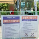 오픈베이 | 강아지 수영장 애견운동장 카페 원더풀 도그베이 재오픈 재방문 입장료 주차 후기(14kg까지 가능!)