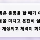 빅세일마트 | 가끔은 아무것도 하지 않는 날이 더 필요할 때