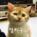 RPG 로켓에 맞은 사람 사진 이미지