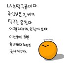 위더스수성학원 | 내 집 없는 부자는 없다 -대치동 키즈-