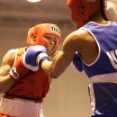 강릉복싱체육관 이미지