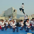 부강 합기도 이미지