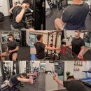 근육터짐(GYM) 이미지