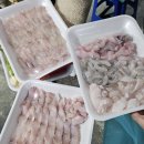 금영수산 이미지