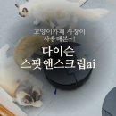 러쉬캣 | 여름철 끈적이는 바닥 해결사! 다이슨 물청소 로봇청소기 다이슨 스팟앤스크럽ai